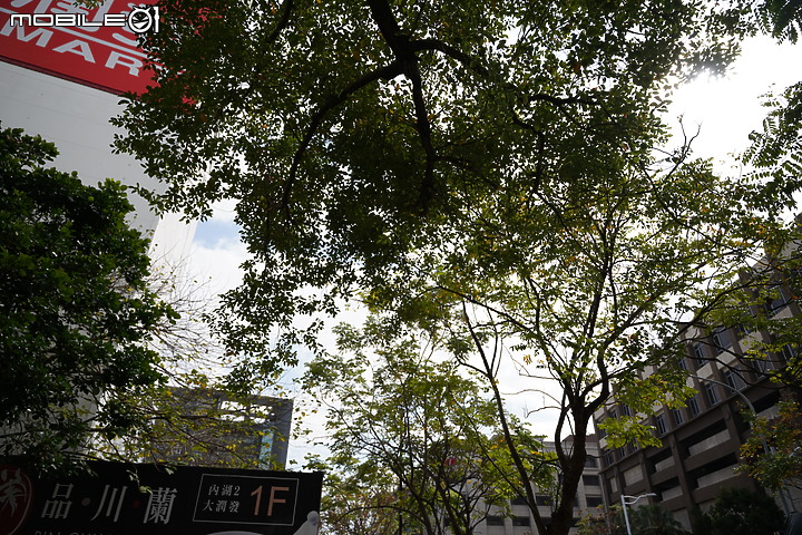 無反 24-70mm f/2.8 大集評！Canon / Nikon / Panasonic / Sigma / Sony / Tamron 頂尖對決！