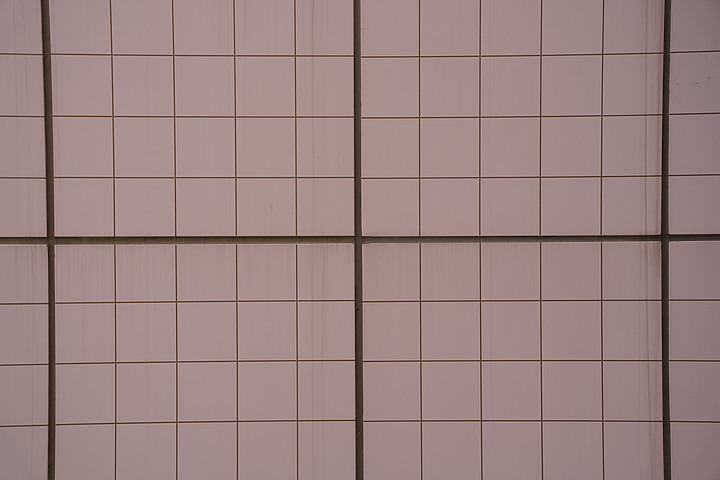 無反 24-70mm f/2.8 大集評！Canon / Nikon / Panasonic / Sigma / Sony / Tamron 頂尖對決！