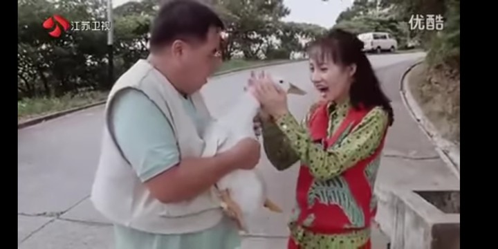 肥貓流浪記觀後心得