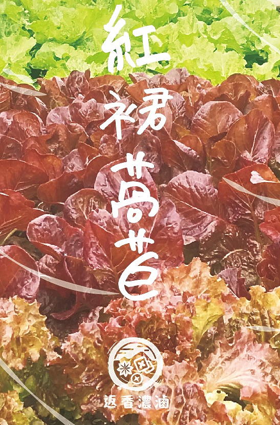 返香濃滷, 用銅板價為你的健康著想的滷味店