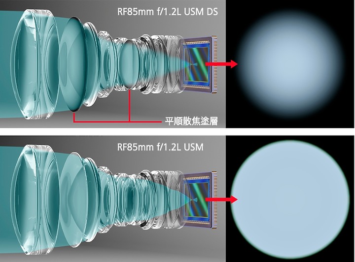 Canon RF 85mm f/1.2L USM DS 極致柔美散景的代表作！