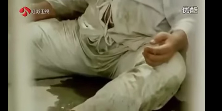 肥貓流浪記觀後心得