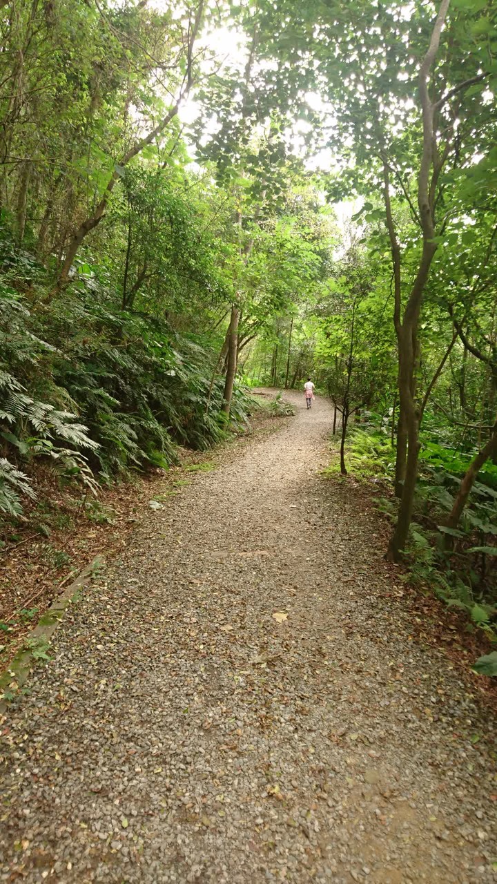 [樂山童盟] [台北大安] 富陽生態公園(福州山)之貓形路線大亂走(富陽生態公園-福州山-中埔山-中埔山東峰)