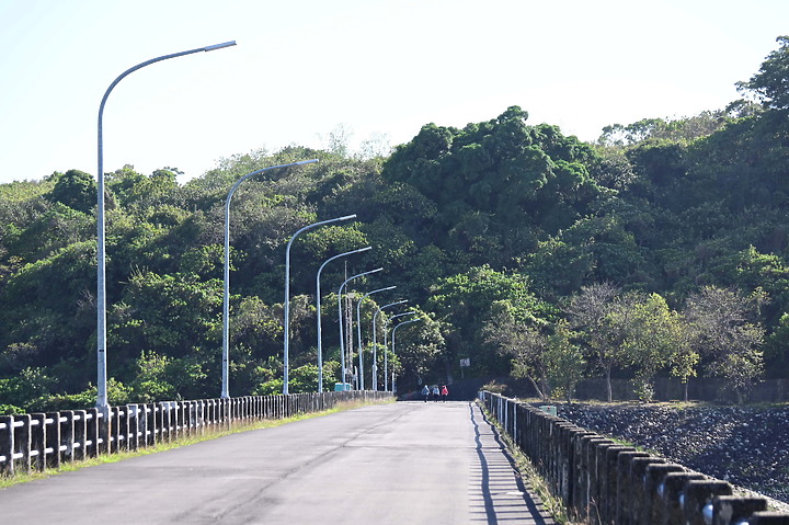 Z50鳳山水庫鸕鶿：黃昏返回與清晨離開到高屏溪或大鵬灣。