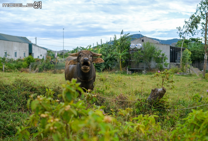 2019 年終  Fujifilm X-T3 畫面回顧 { 圖多 }