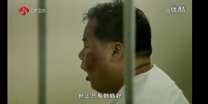 肥貓流浪記觀後心得