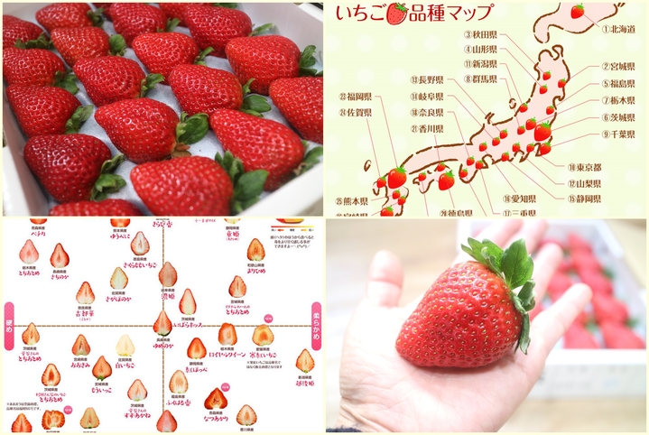 來日本就是要吃草莓！日本人氣草莓＆稀有種類介紹以及草莓的美味吃法分享！