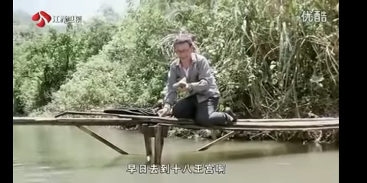 肥貓流浪記觀後心得