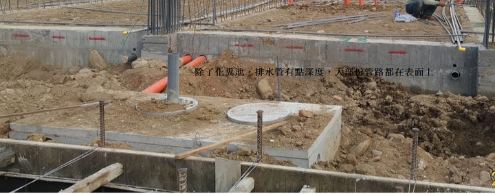 屋前種樟樹會破壞管路或地面嗎?