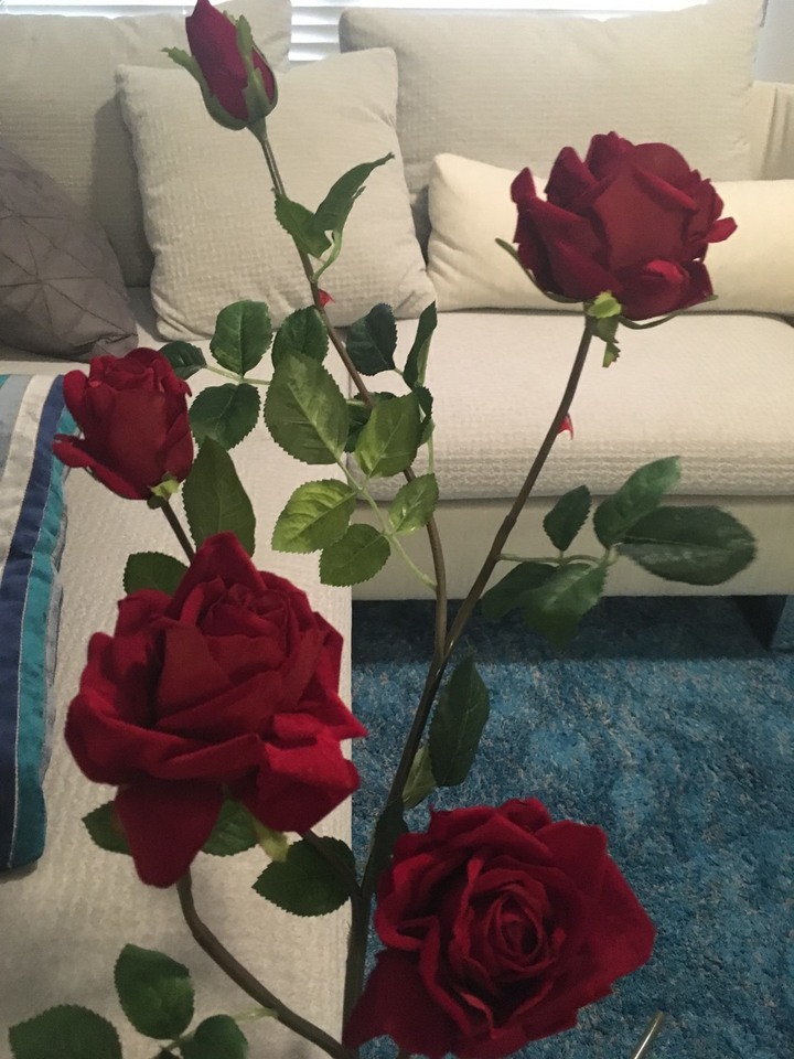 【★開箱★】租屋30年,如今買了舊屋透天!並且裝修!兩層透天&現代簡&舒服明亮(未來將持續更新)