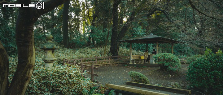 東京巡禮,慶幸有去的兩個地方 - SIGMA fp