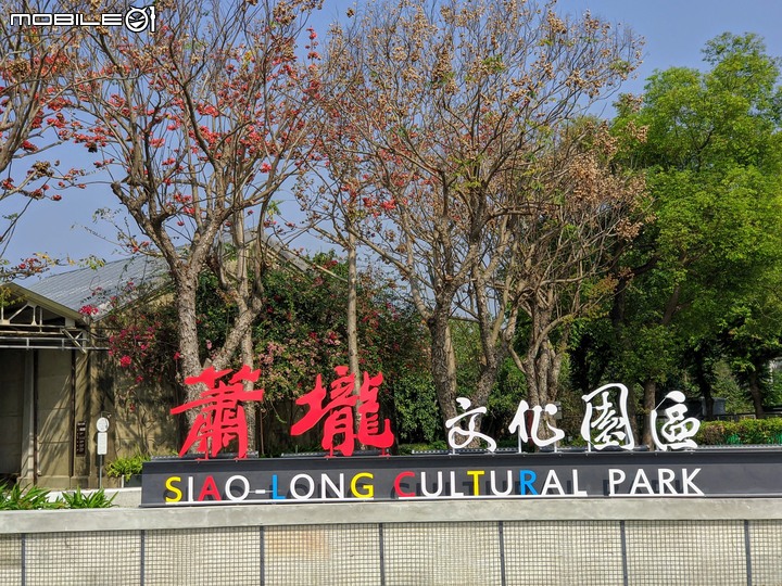 木棉花 台南市佳里區蕭壠文化園區 02/22