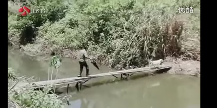 肥貓流浪記觀後心得