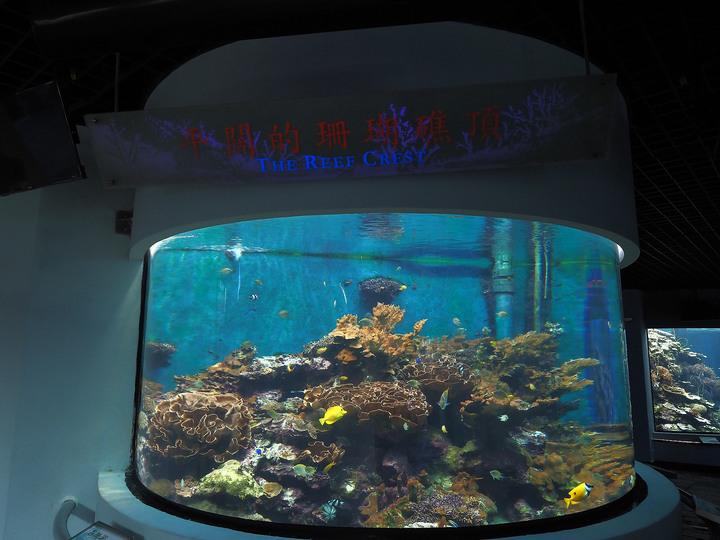 屏東 車城 國立海洋生物博物館 夜宿體驗 — 雖然辛苦，但卻很難得的夜宿體驗