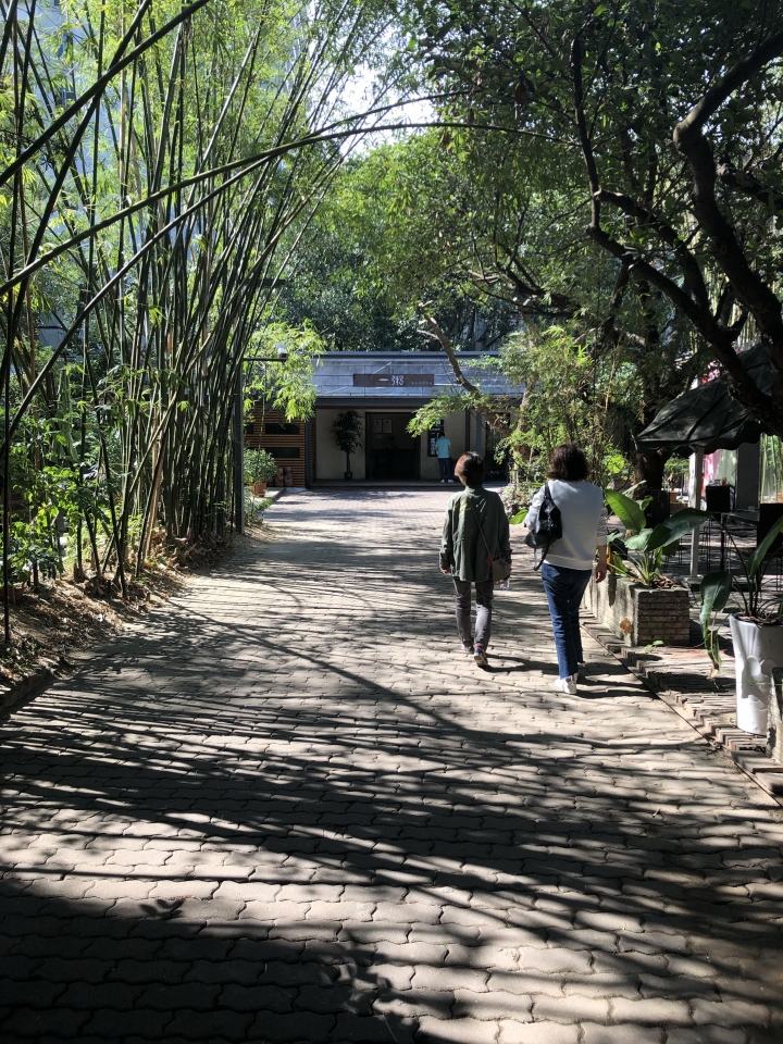 分享這些年拍的照片