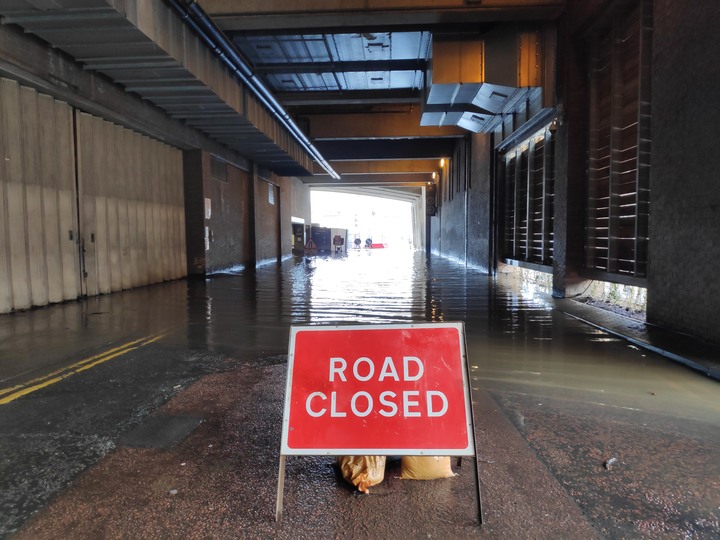 【閒聊與趣味】救貓喔！