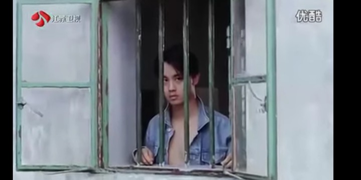 肥貓流浪記觀後心得