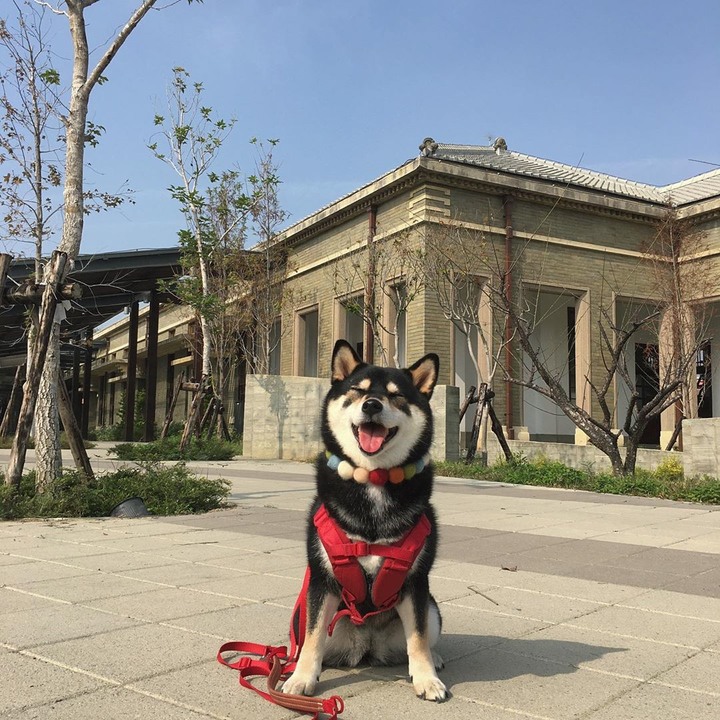 【台中│遊記】東區帝國製糖廠翻修後重新開放！賞湖看夜景還能帶毛小孩散步