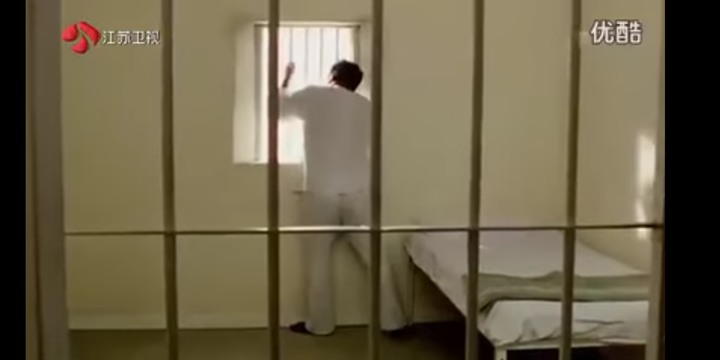肥貓流浪記觀後心得