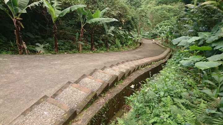 [樂山童盟] [台北大安] 富陽生態公園(福州山)之貓形路線大亂走(富陽生態公園-福州山-中埔山-中埔山東峰)