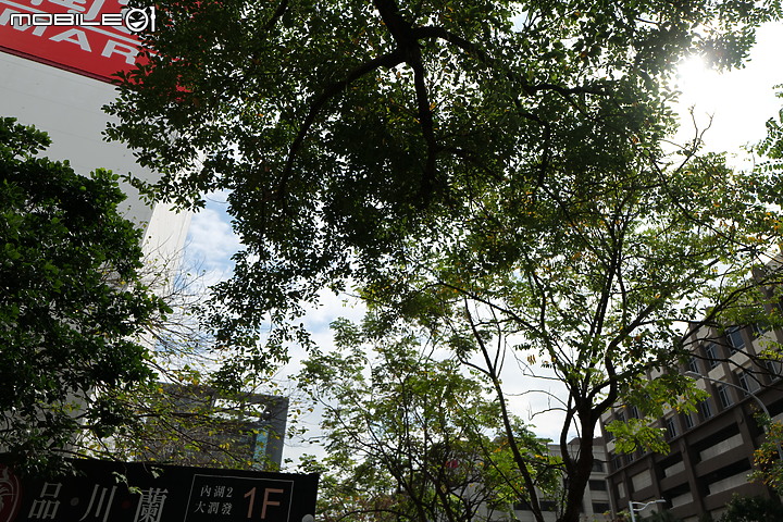 無反 24-70mm f/2.8 大集評！Canon / Nikon / Panasonic / Sigma / Sony / Tamron 頂尖對決！