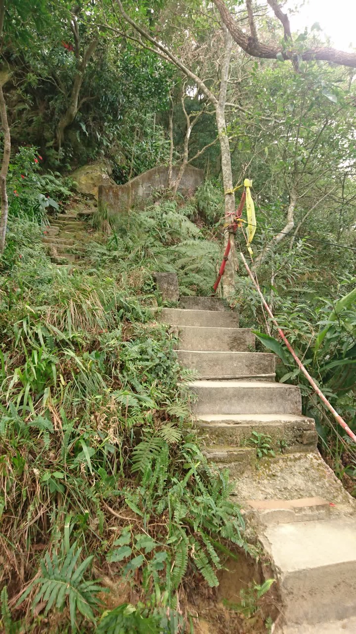 [樂山童盟] [台北大安] 富陽生態公園(福州山)之貓形路線大亂走(富陽生態公園-福州山-中埔山-中埔山東峰)
