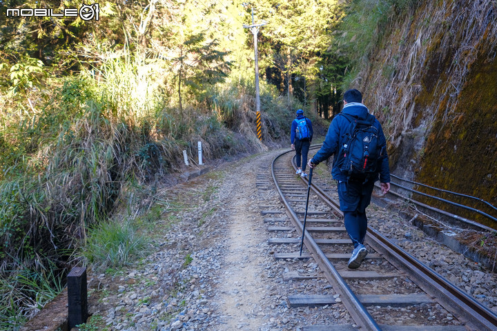 阿里山眠月線  大叔行不行