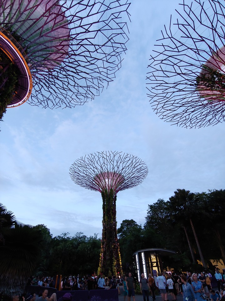 2020新加坡自助旅行---天空樹+天空步道