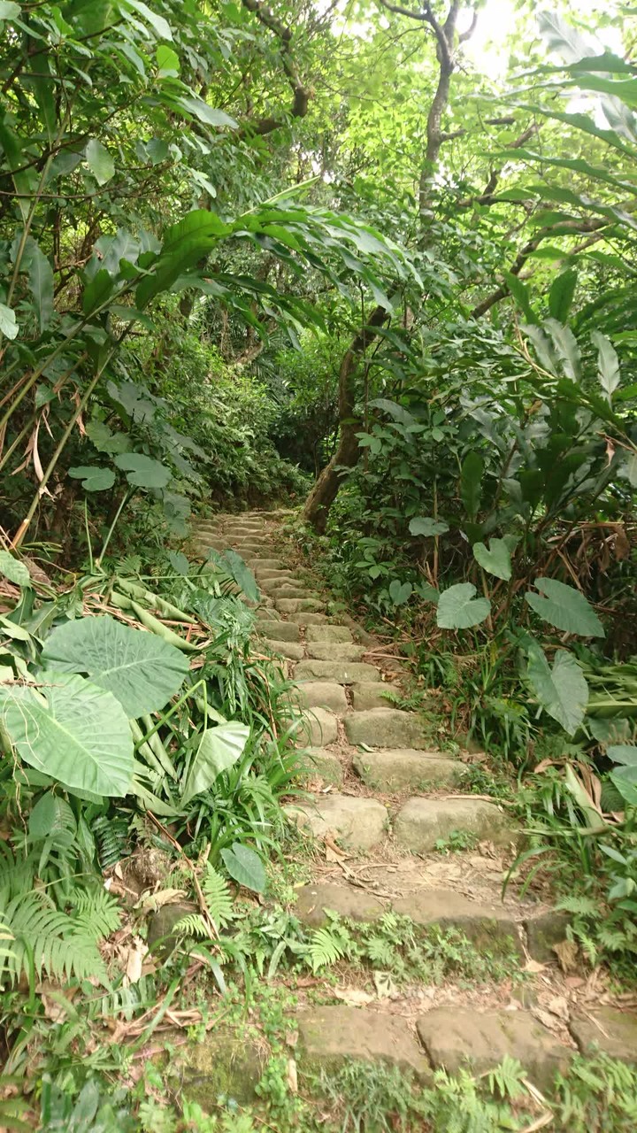 [樂山童盟] [台北大安] 富陽生態公園(福州山)之貓形路線大亂走(富陽生態公園-福州山-中埔山-中埔山東峰)