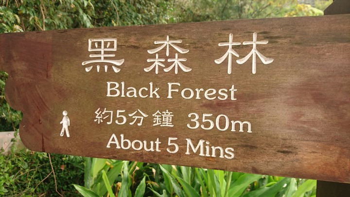 [樂山童盟] [台北北投] 悠遊"竹子湖"[猴崁湖田國小步道-百年楓香巨木-草山水道滾水頭-猴崁水圳古道-青楓步道-竹子湖黑森林-水車寮步道]