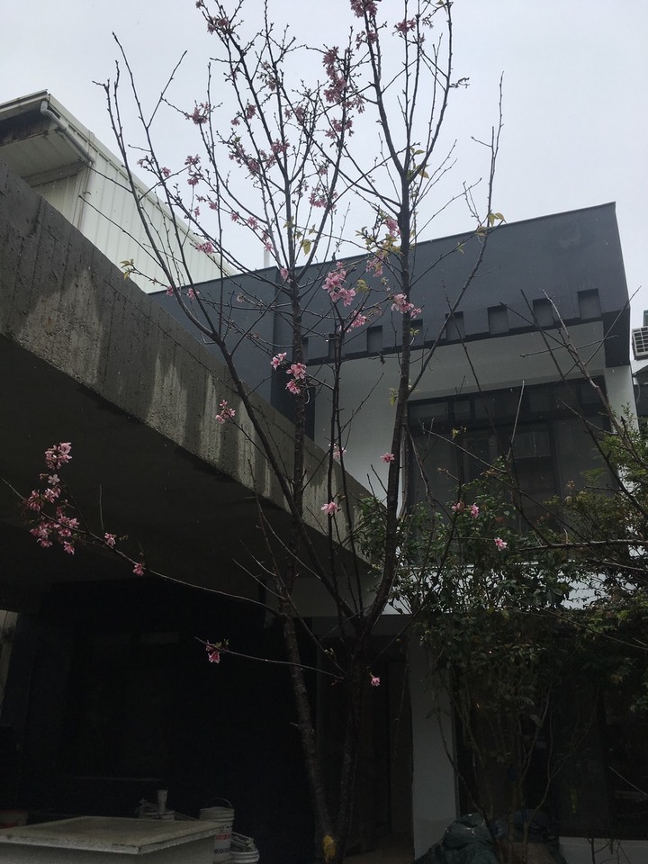 【★開箱★】租屋30年,如今買了舊屋透天!並且裝修!兩層透天&現代簡&舒服明亮(未來將持續更新)
