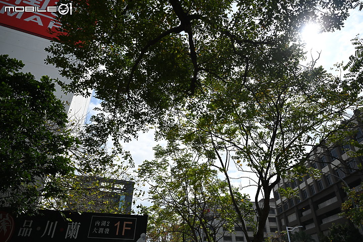 無反 24-70mm f/2.8 大集評！Canon / Nikon / Panasonic / Sigma / Sony / Tamron 頂尖對決！