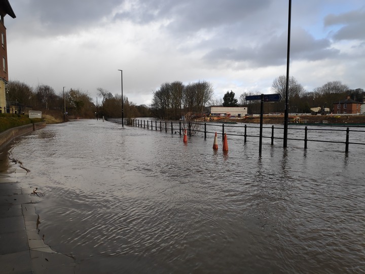 【閒聊與趣味】救貓喔！