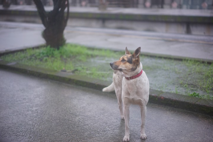 最後的單車台灣環島游（上）：有些事現在不做，就永遠都不會做了