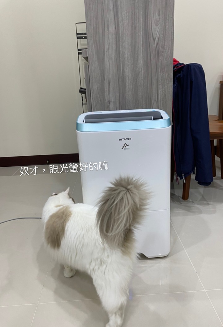 日立RD-200HH 隨手不專業開箱
