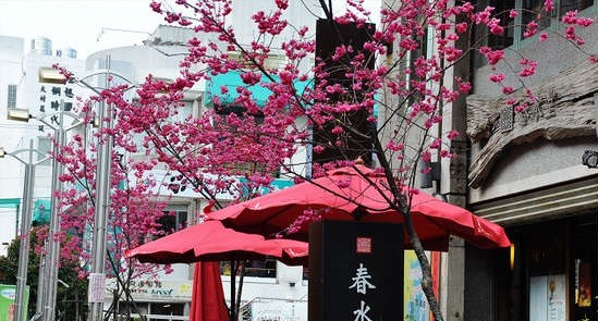 【★開箱★】租屋30年,如今買了舊屋透天!並且裝修!兩層透天&現代簡&舒服明亮(未來將持續更新)