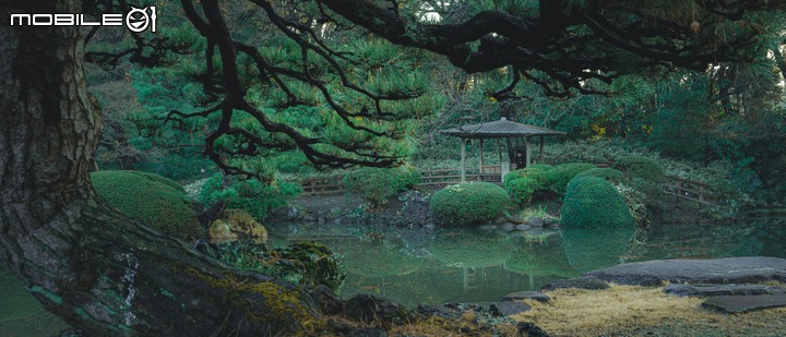 東京巡禮,慶幸有去的兩個地方 - SIGMA fp
