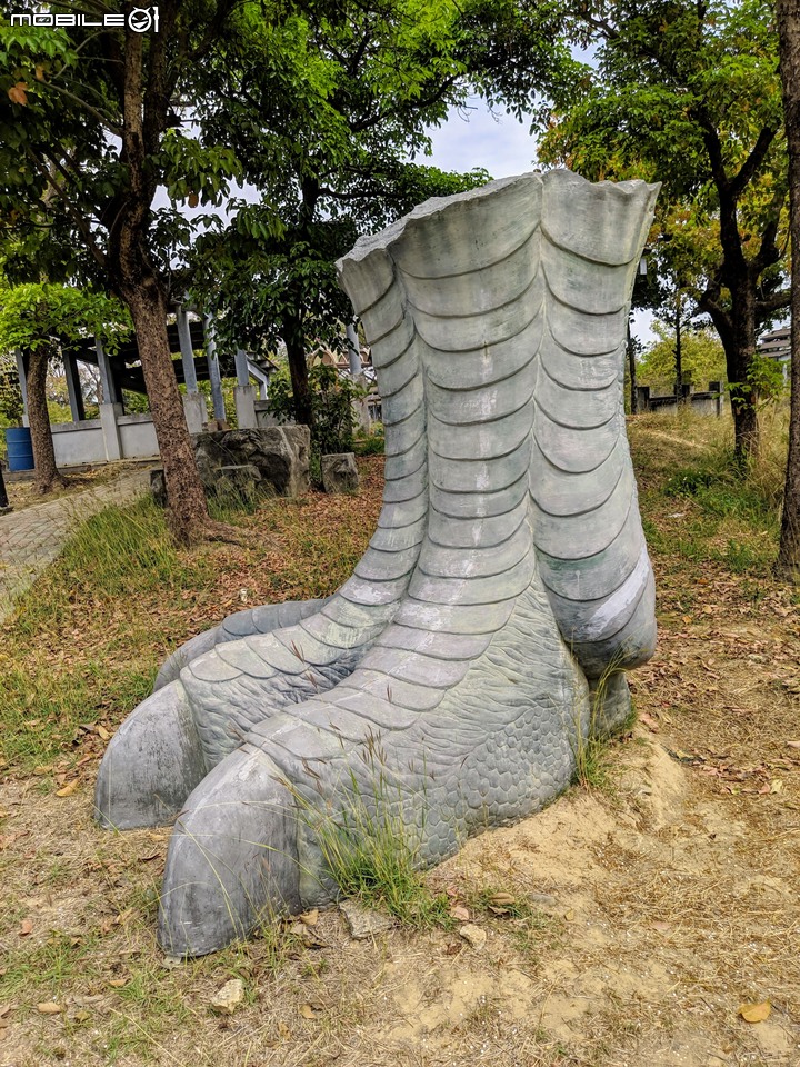 黃花風鈴木 台南市仁德區仁德恐龍公園 02/29