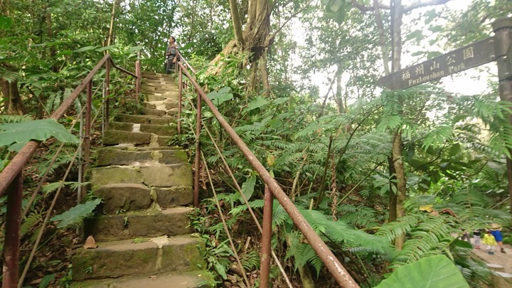 [樂山童盟] [台北大安] 富陽生態公園(福州山)之貓形路線大亂走(富陽生態公園-福州山-中埔山-中埔山東峰)