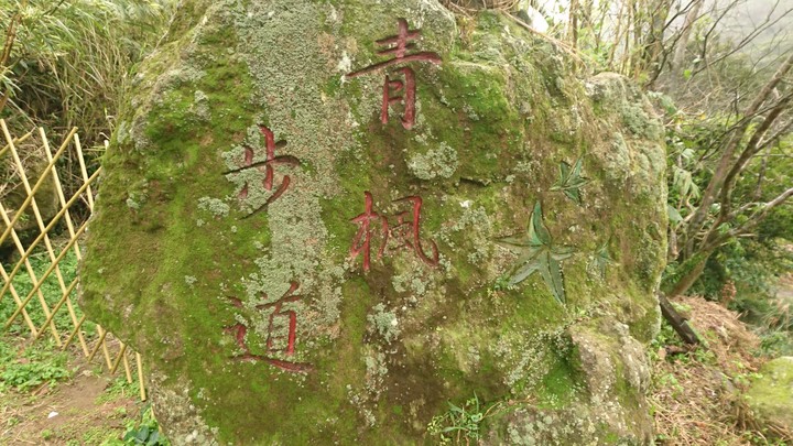 [樂山童盟] [台北北投] 悠遊"竹子湖"[猴崁湖田國小步道-百年楓香巨木-草山水道滾水頭-猴崁水圳古道-青楓步道-竹子湖黑森林-水車寮步道]