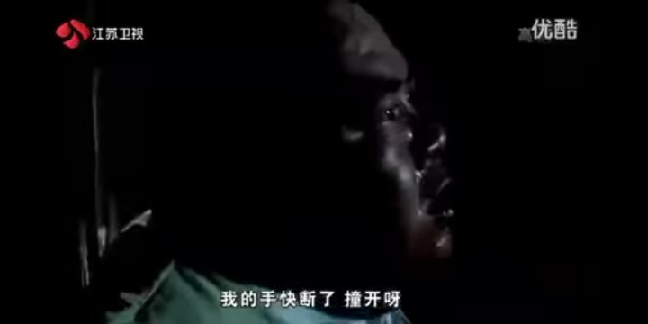 肥貓流浪記觀後心得