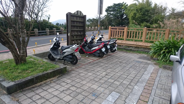 [樂山童盟] [台北北投] 悠遊"竹子湖"[猴崁湖田國小步道-百年楓香巨木-草山水道滾水頭-猴崁水圳古道-青楓步道-竹子湖黑森林-水車寮步道]