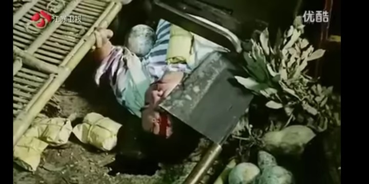 肥貓流浪記觀後心得