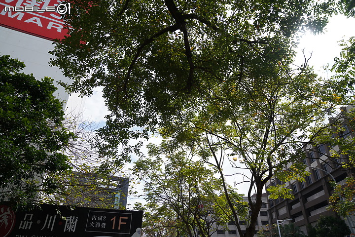 無反 24-70mm f/2.8 大集評！Canon / Nikon / Panasonic / Sigma / Sony / Tamron 頂尖對決！