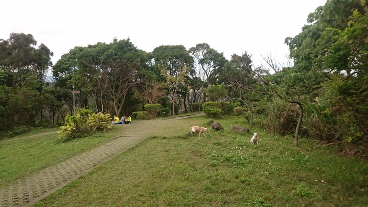 [樂山童盟] [台北大安] 富陽生態公園(福州山)之貓形路線大亂走(富陽生態公園-福州山-中埔山-中埔山東峰)