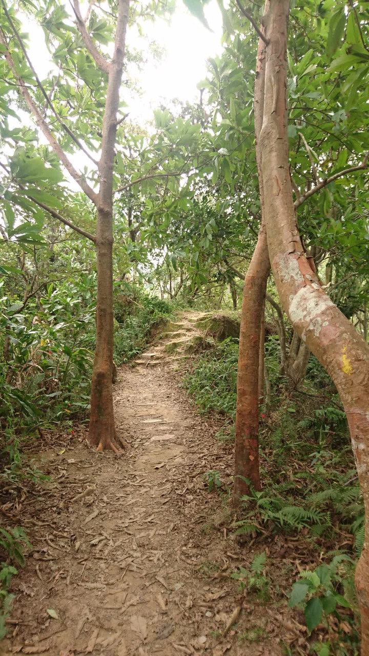 [樂山童盟] [台北大安] 富陽生態公園(福州山)之貓形路線大亂走(富陽生態公園-福州山-中埔山-中埔山東峰)