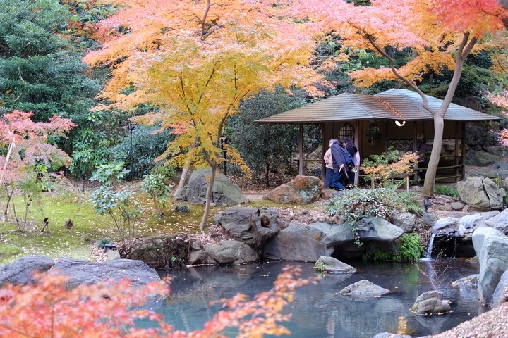 2019年臘月，東京行(圖多)