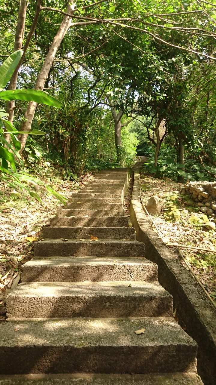 [樂山童盟] [台北中山] 劍潭山親山步道(圓山水神社-劍潭山-劍潭山中山北路登山口)