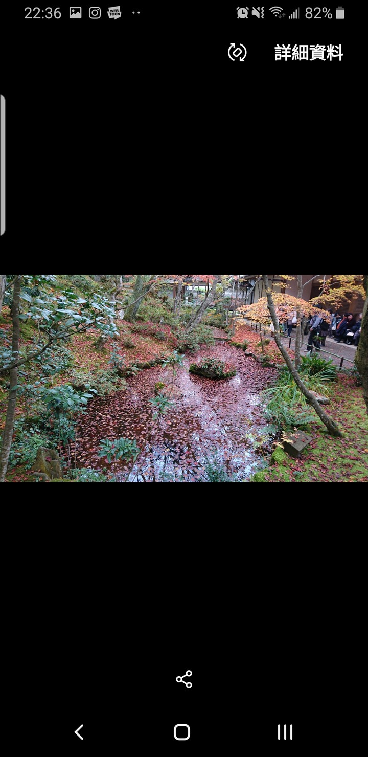 S8媒體編輯器無法顯示部分照片