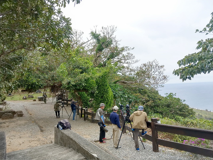 朱連雀9年後再訪恆春關山，53隻全都錄，Z7+600mm貓眼對焦首先發表。